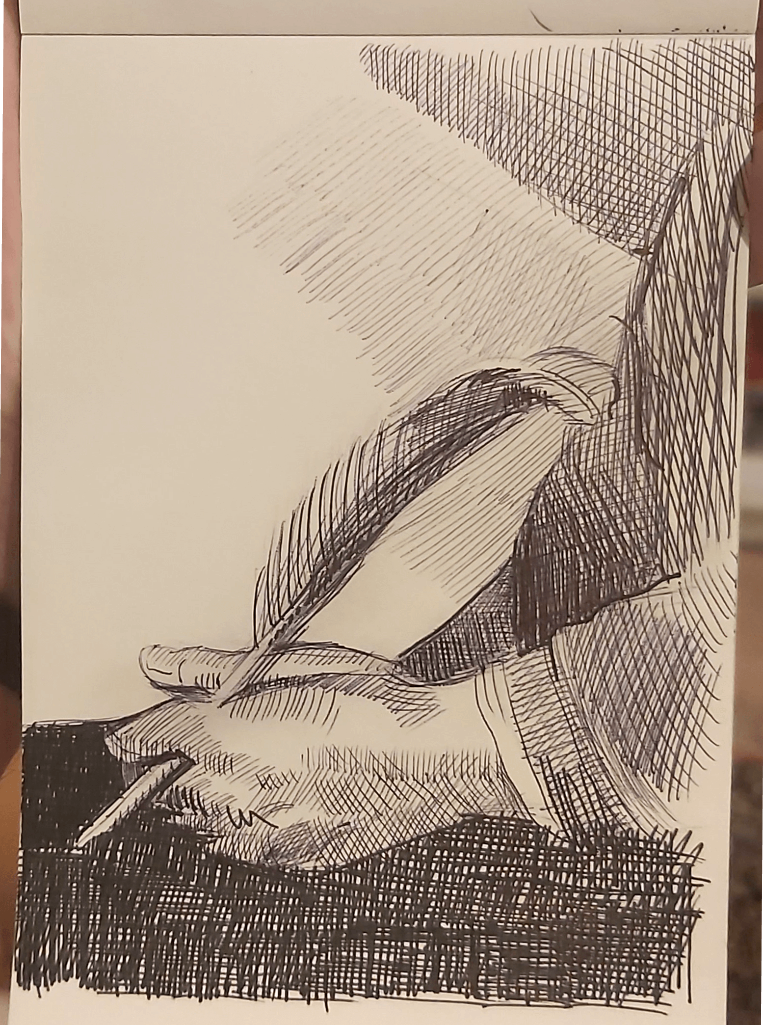 Rembrandt Study blackpen on paper.Fineart crosshatching.