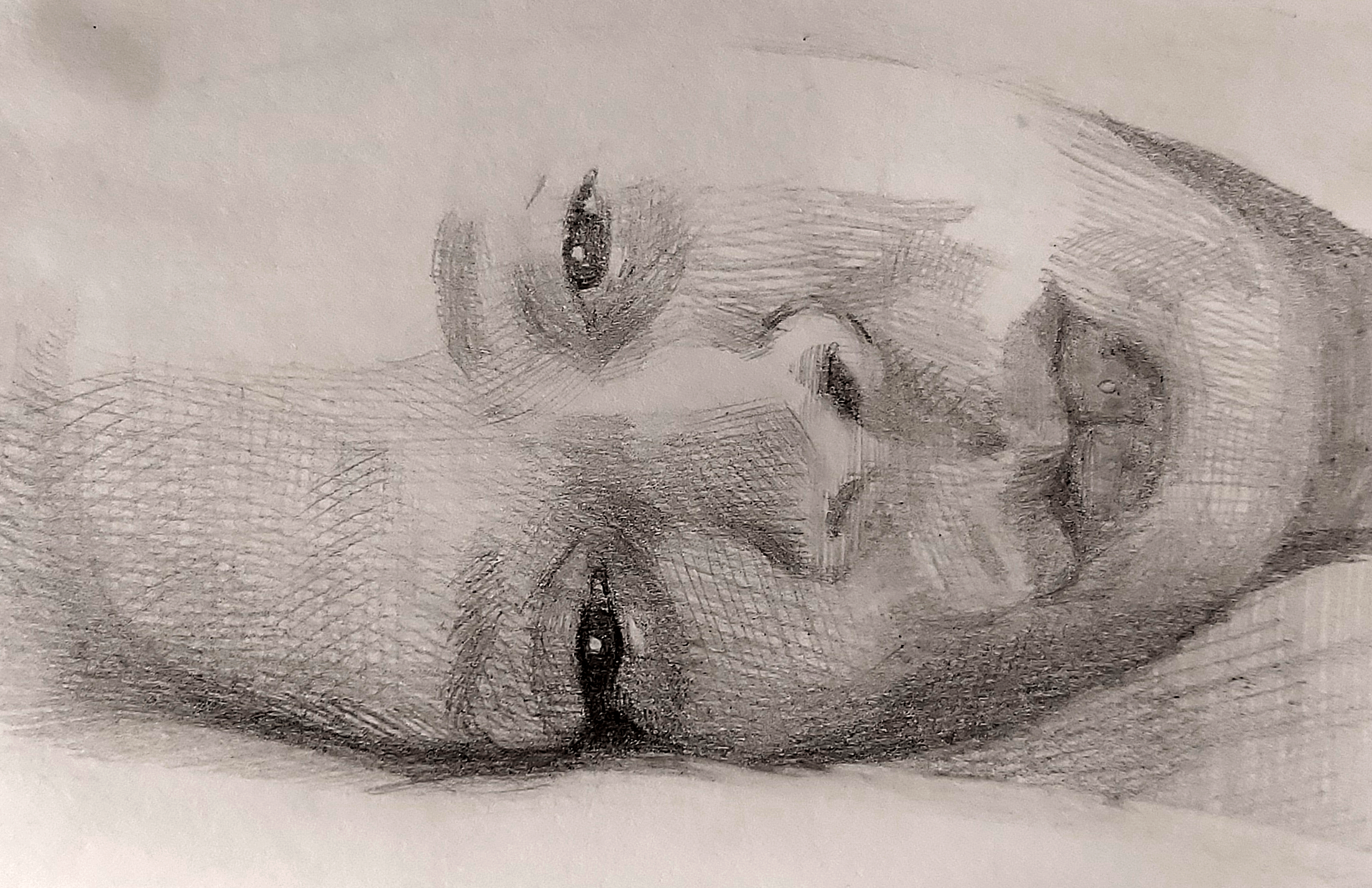 Sketch portrait horizontal pencil on paper FineArt.