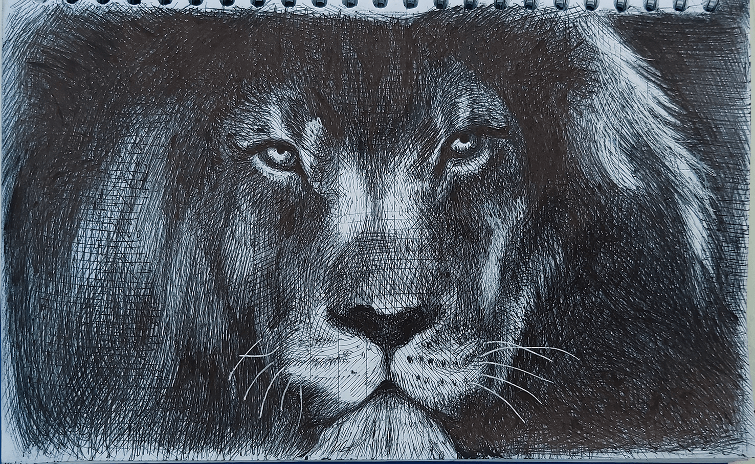 Lion Portrait sketch blackpen on paper Fineart.