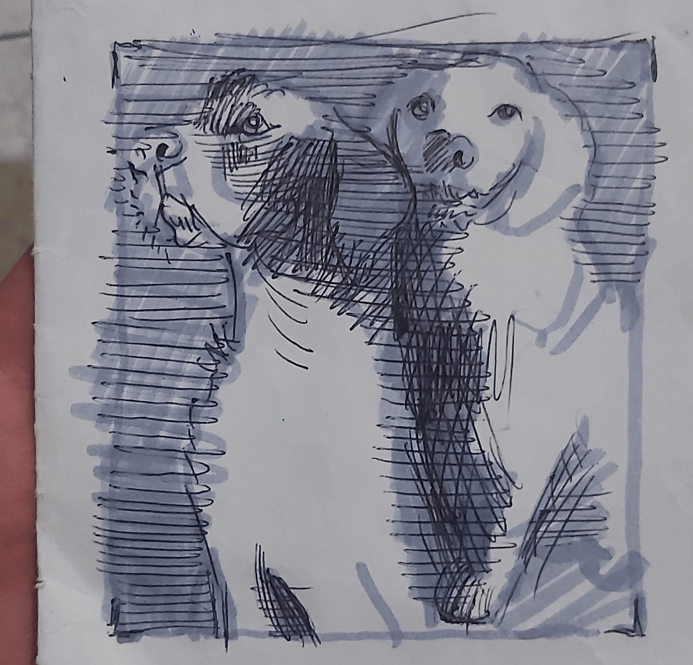 Sketch for a dog portrait for a painting (Black pen and marker on paper)